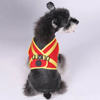 Dog Harness with Airtag Tracker and Leash Set - Mesh and Nylon