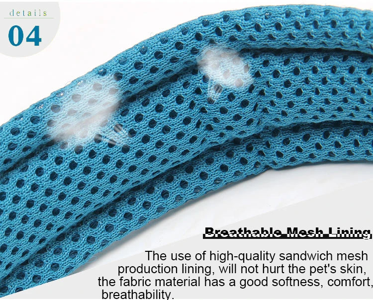Padded, Nylon Dog Collar with Buckle