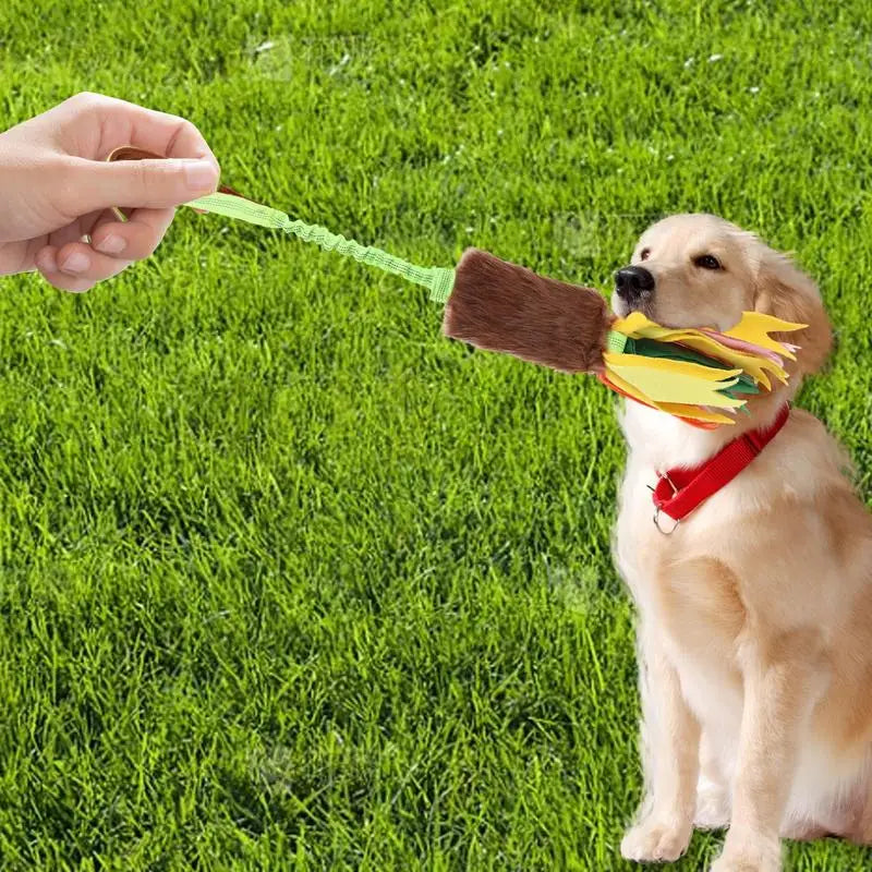 Dog Toy, Rope, Squeaky, Chew Interactive Toy with Elastic Drawstring