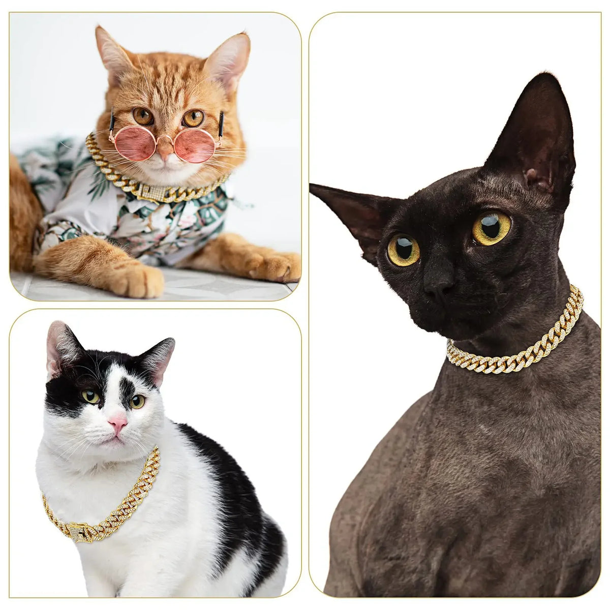 Dog & Cat Diamond Metal Collar with Secure Buckle