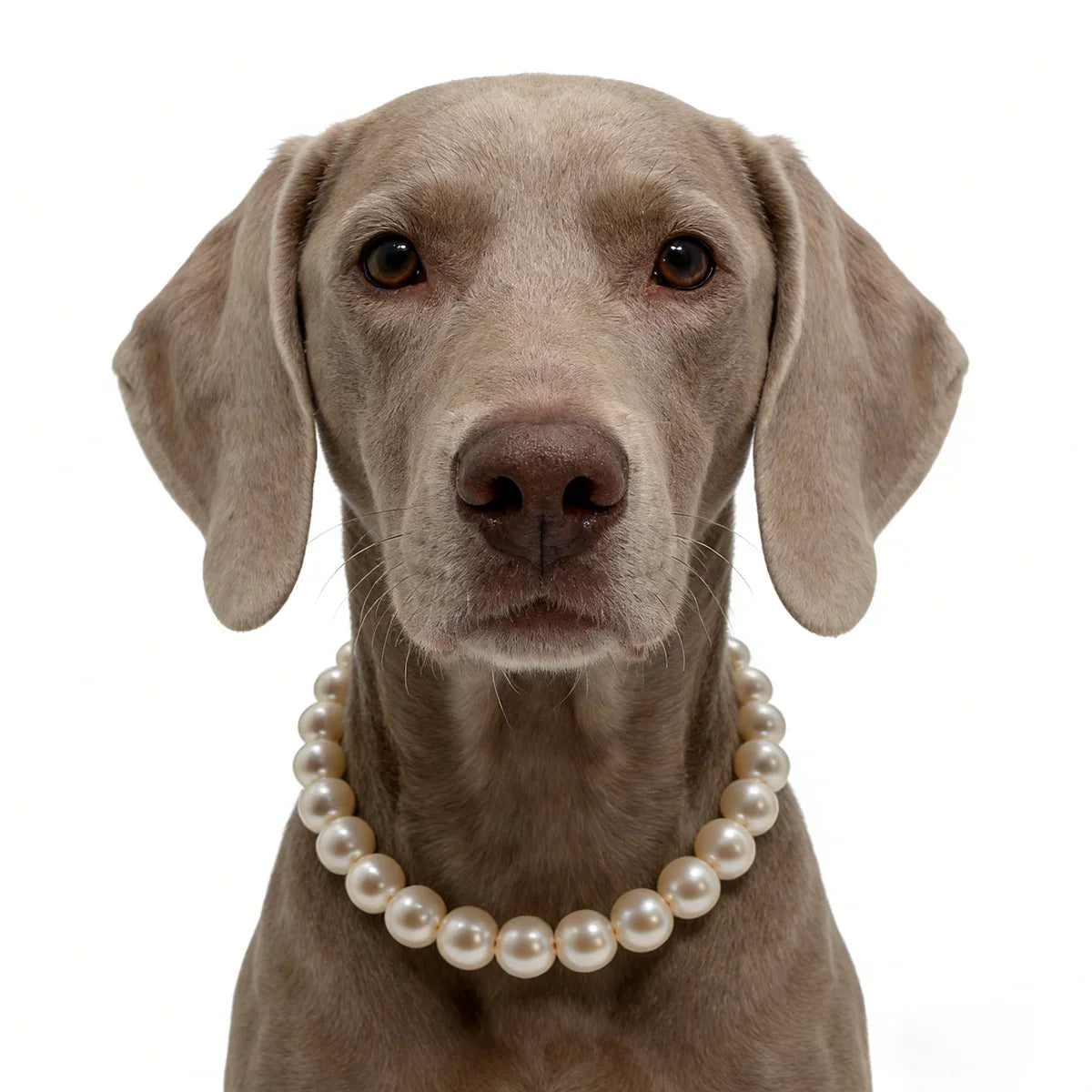 Pearl Collar Necklace for Dogs
