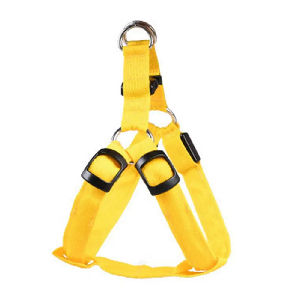 Adjustable, USB Rechargeable, LED Pet Harness - Glow-in-The-Dark Safety Harness