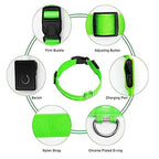 LED Pet Dog Collar for Night Safety | Bright USB Rechargeable