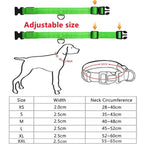LED Pet Dog Collar for Night Safety | Bright USB Rechargeable