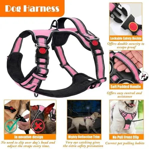 Training Kit for Dogs: Harness, Collar, Leash, Seat Belt, Bowl, Baggie Holder