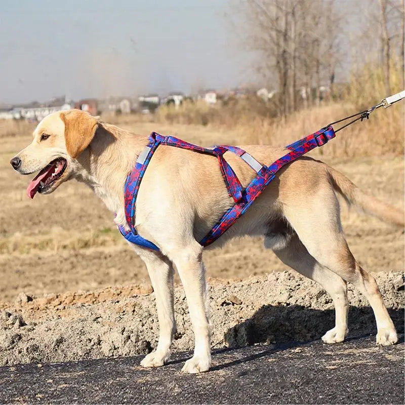 Dog Harness - Running, Speed Training, Pulling, and Sled Harness