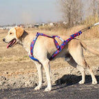 Dog Harness - Running, Speed Training, Pulling, and Sled Harness