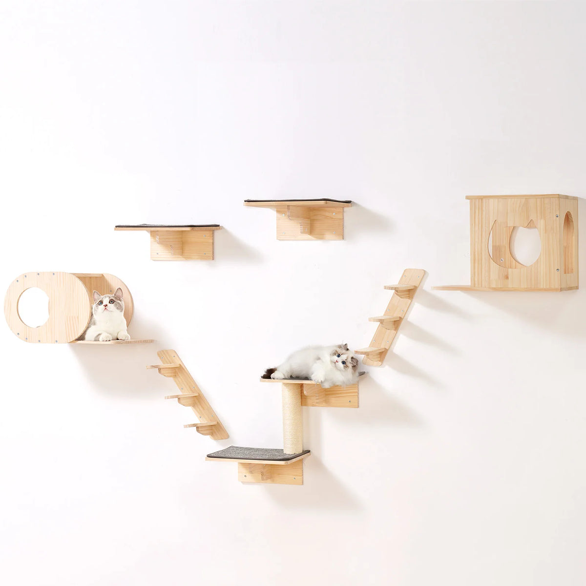 Wall Mounted Cat Wall Shelves and Perches with Jumping Boards, Hammocks