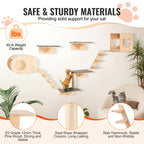 Wall Mounted Cat Wall Shelves and Perches with Jumping Boards, Hammocks