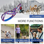 Dog Harness - Running, Speed Training, Pulling, and Sled Harness