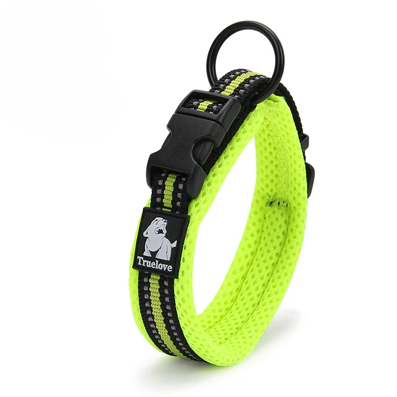 Padded, Nylon Dog Collar with Buckle