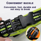 Padded, Nylon Dog Collar with Buckle
