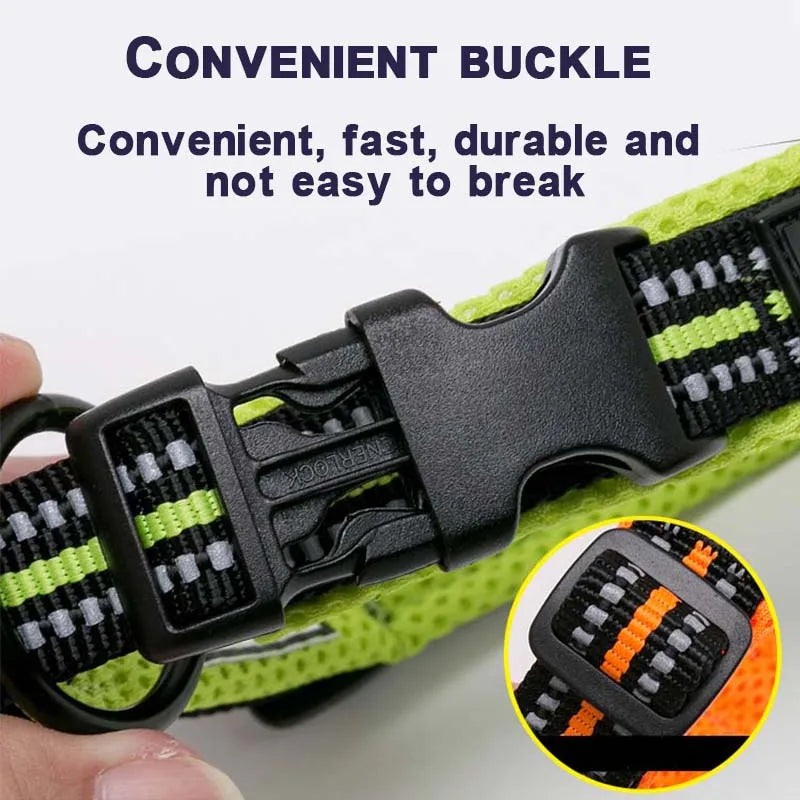 Padded, Nylon Dog Collar with Buckle