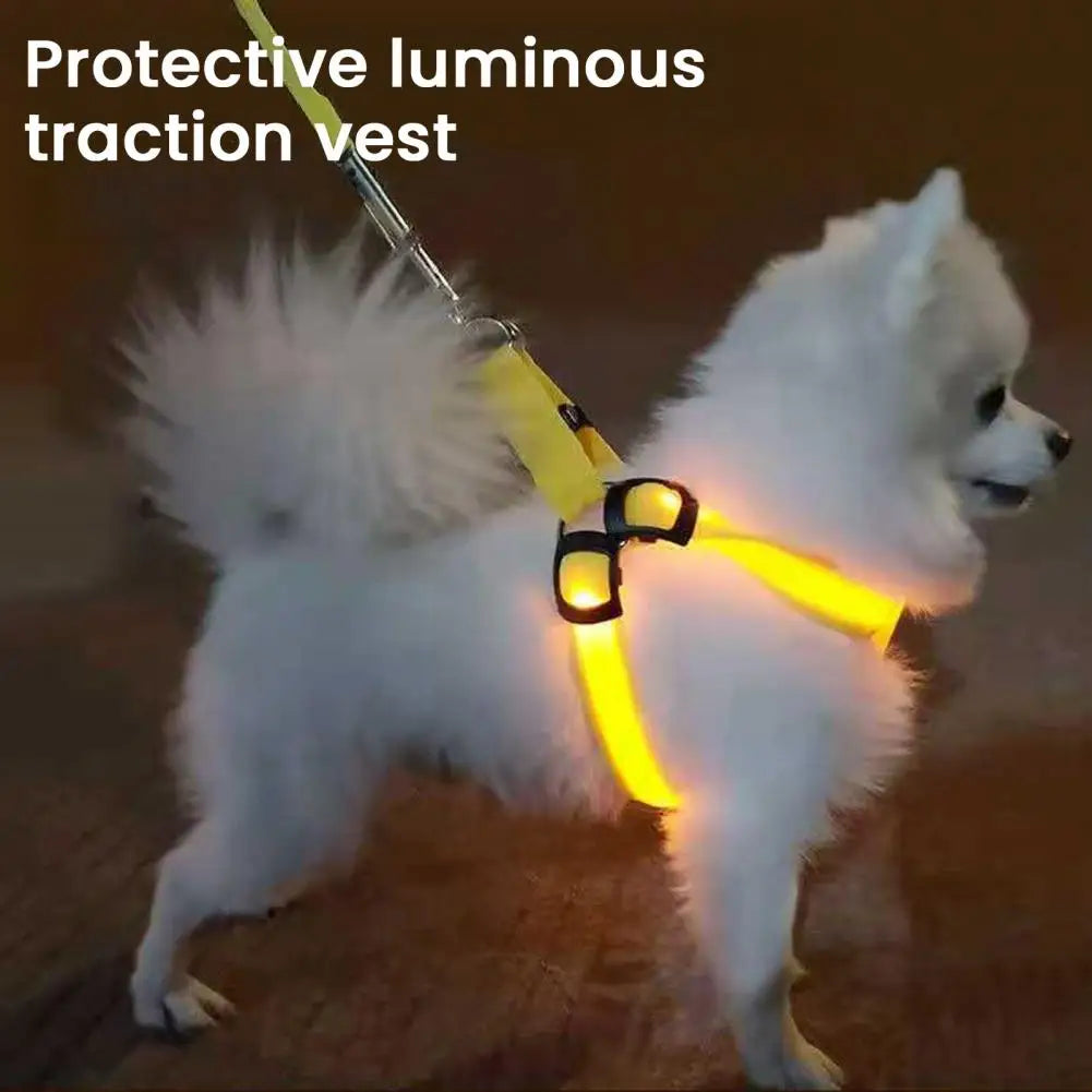 Adjustable, USB Rechargeable, LED Pet Harness - Glow-in-The-Dark Safety Harness