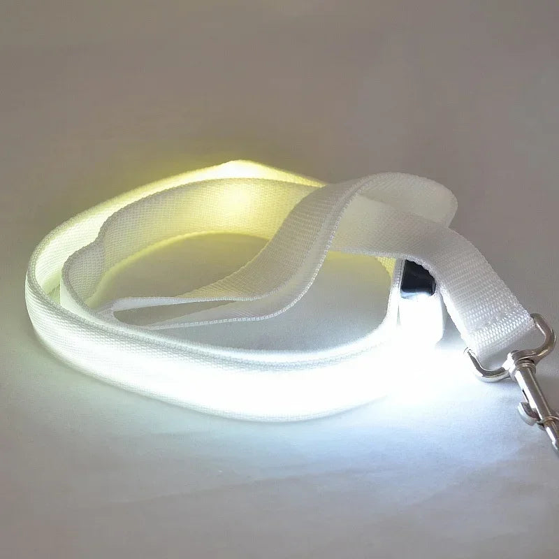 LED Light Up Dog Leash for Dog Safety