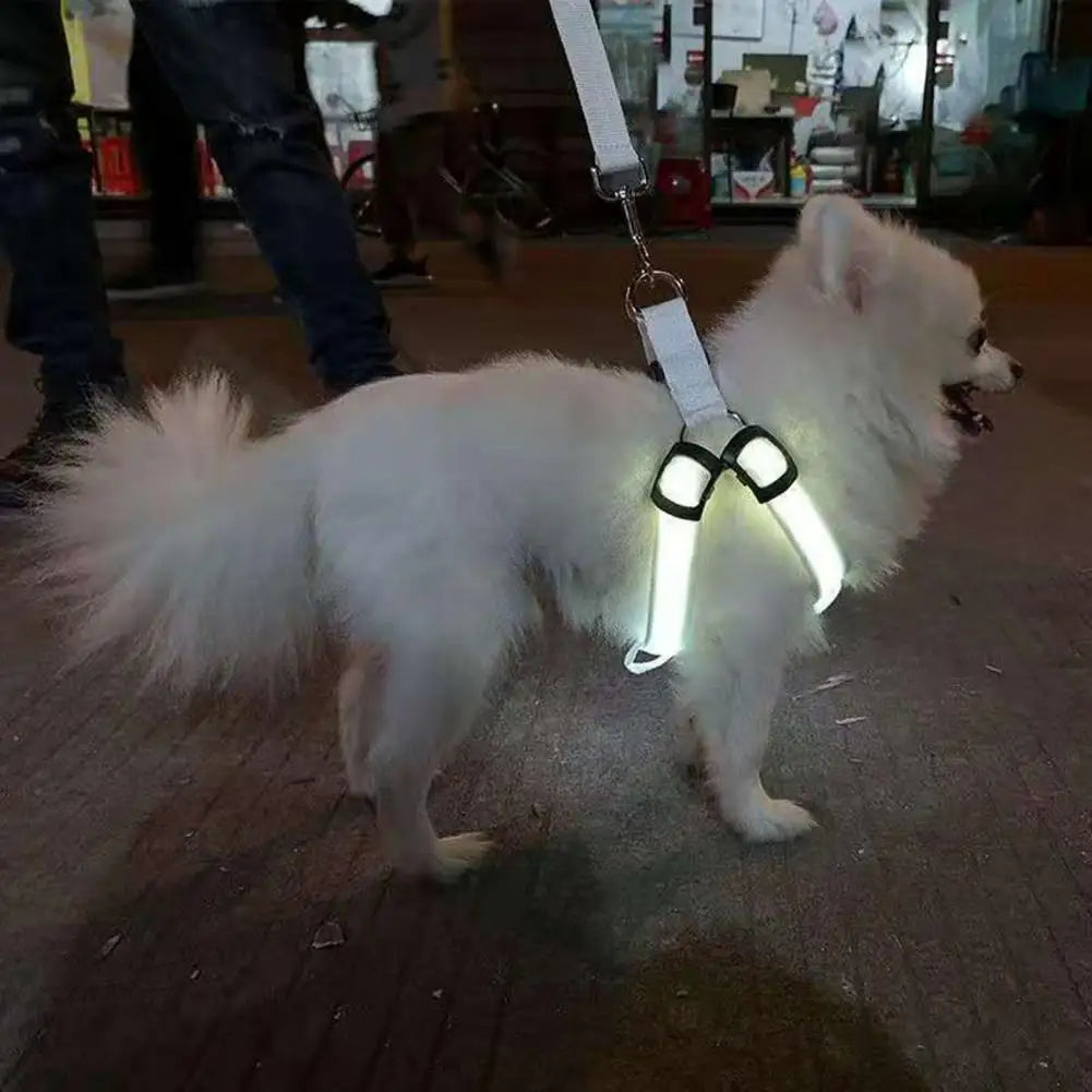 Adjustable, USB Rechargeable, LED Pet Harness - Glow-in-The-Dark Safety Harness
