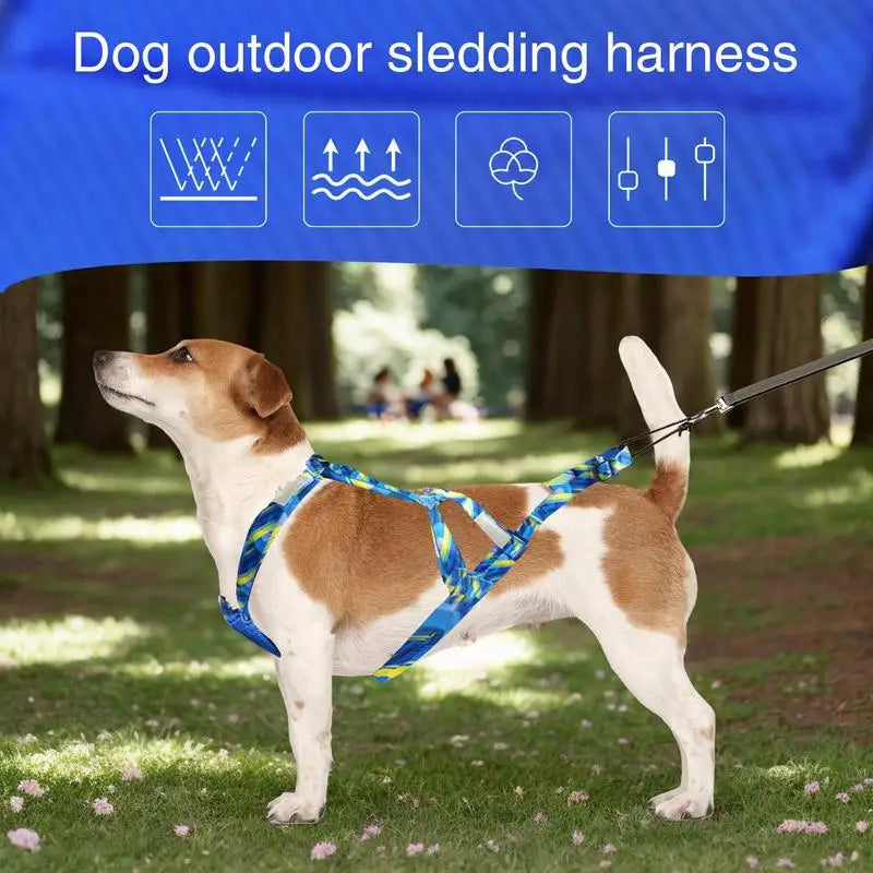 Dog Harness - Running, Speed Training, Pulling, and Sled Harness