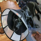 Dog Wound Soft Recovery Cone - Adjustable, Anti-Lick/Anti-Bite Shield, Breathable Pet Cone