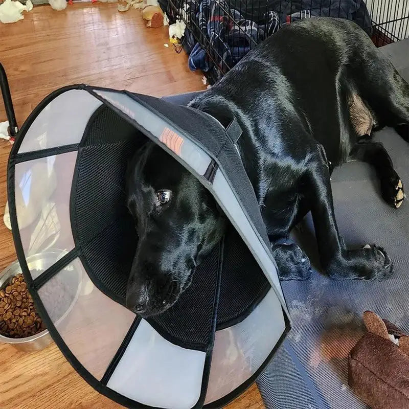 Dog Wound Soft Recovery Cone - Adjustable, Anti-Lick/Anti-Bite Shield, Breathable Pet Cone