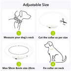 LED Pet Dog Collar for Night Safety | Bright USB Rechargeable