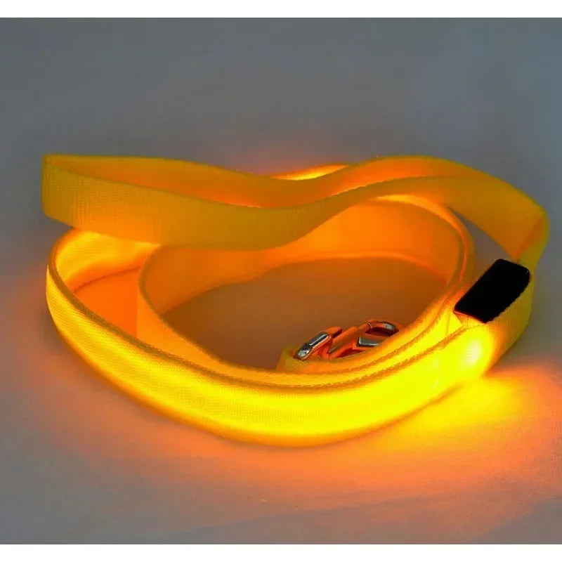 LED Light Up Dog Leash for Dog Safety