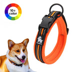 Padded, Nylon Dog Collar with Buckle
