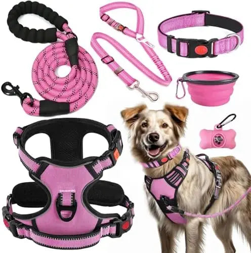 Training Kit for Dogs: Harness, Collar, Leash, Seat Belt, Bowl, Baggie Holder