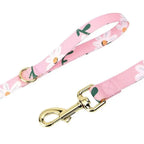 Adjustable Dog Collar with removable flower, Mesh Harness, and Leash Set