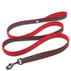 Dog Leash with Padded Handle
