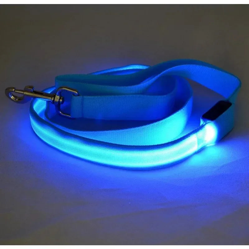 LED Light Up Dog Leash for Dog Safety