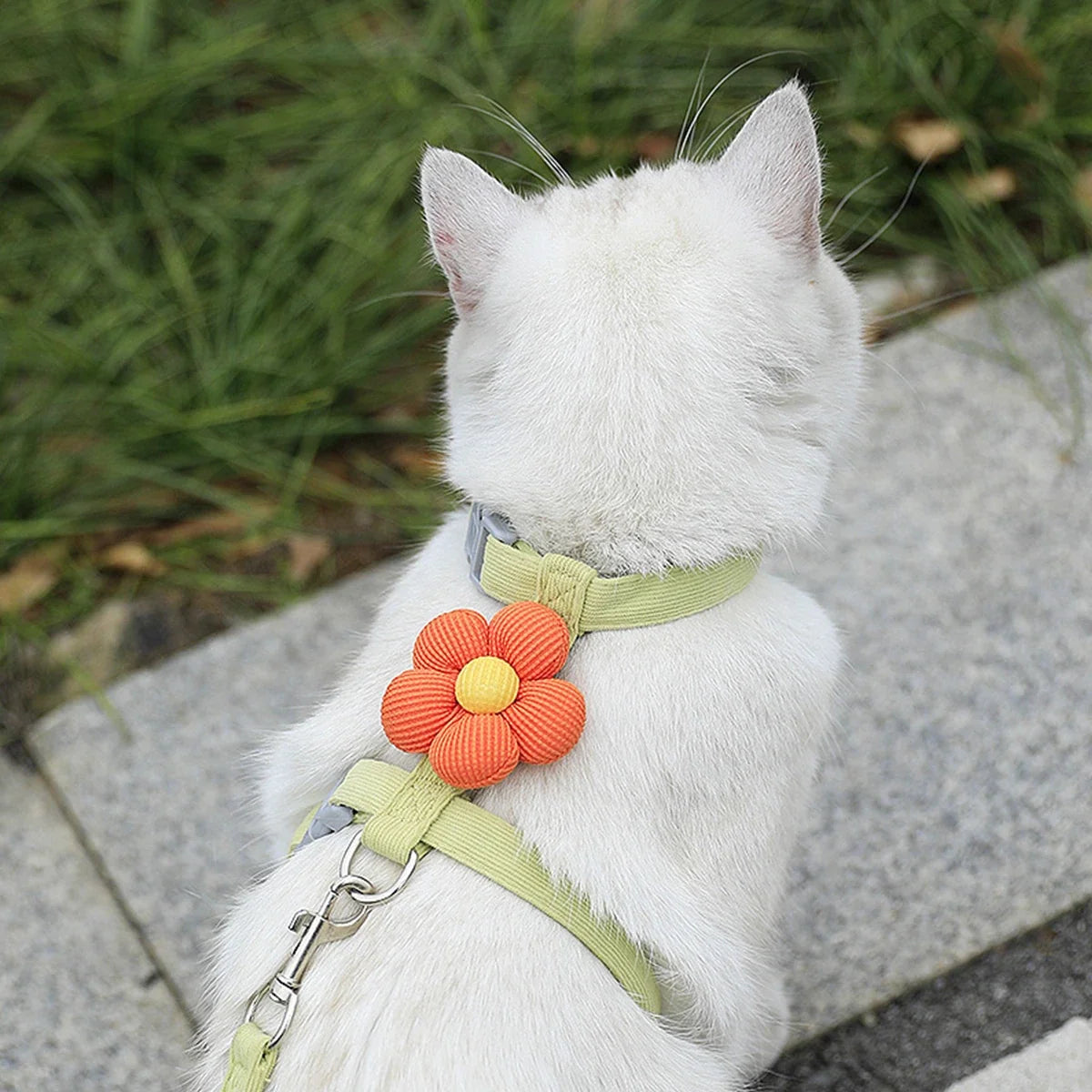 Adjustable Harness & Leash Set for Cats