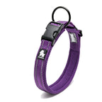 Padded, Nylon Dog Collar with Buckle
