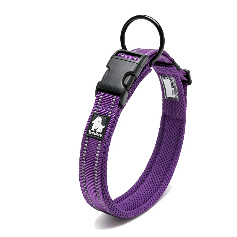 Padded, Nylon Dog Collar with Buckle