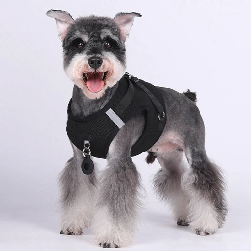 Dog Harness with Airtag Tracker and Leash Set - Mesh and Nylon