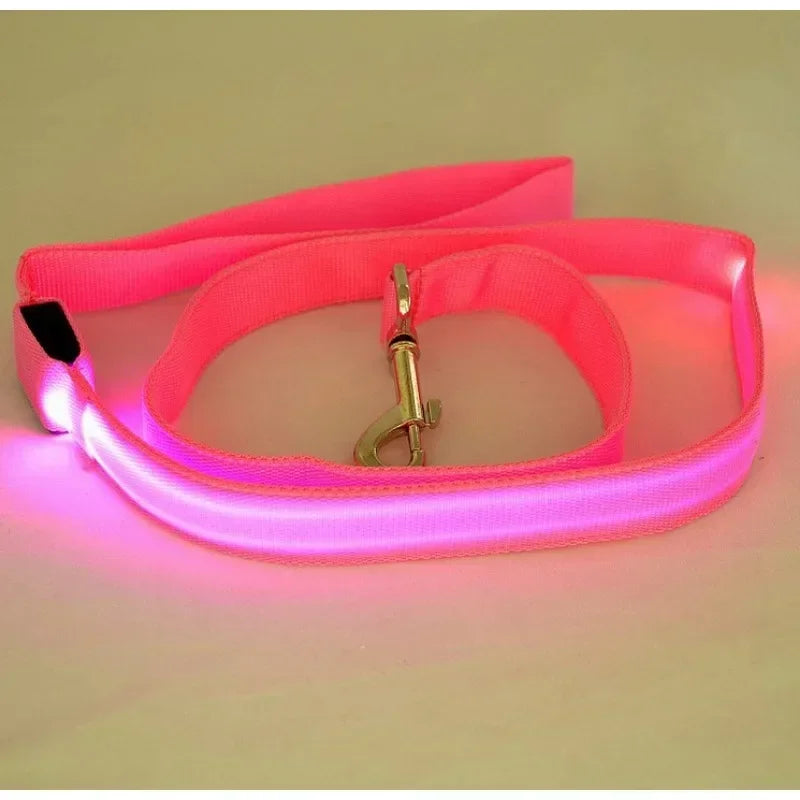 LED Light Up Dog Leash for Dog Safety