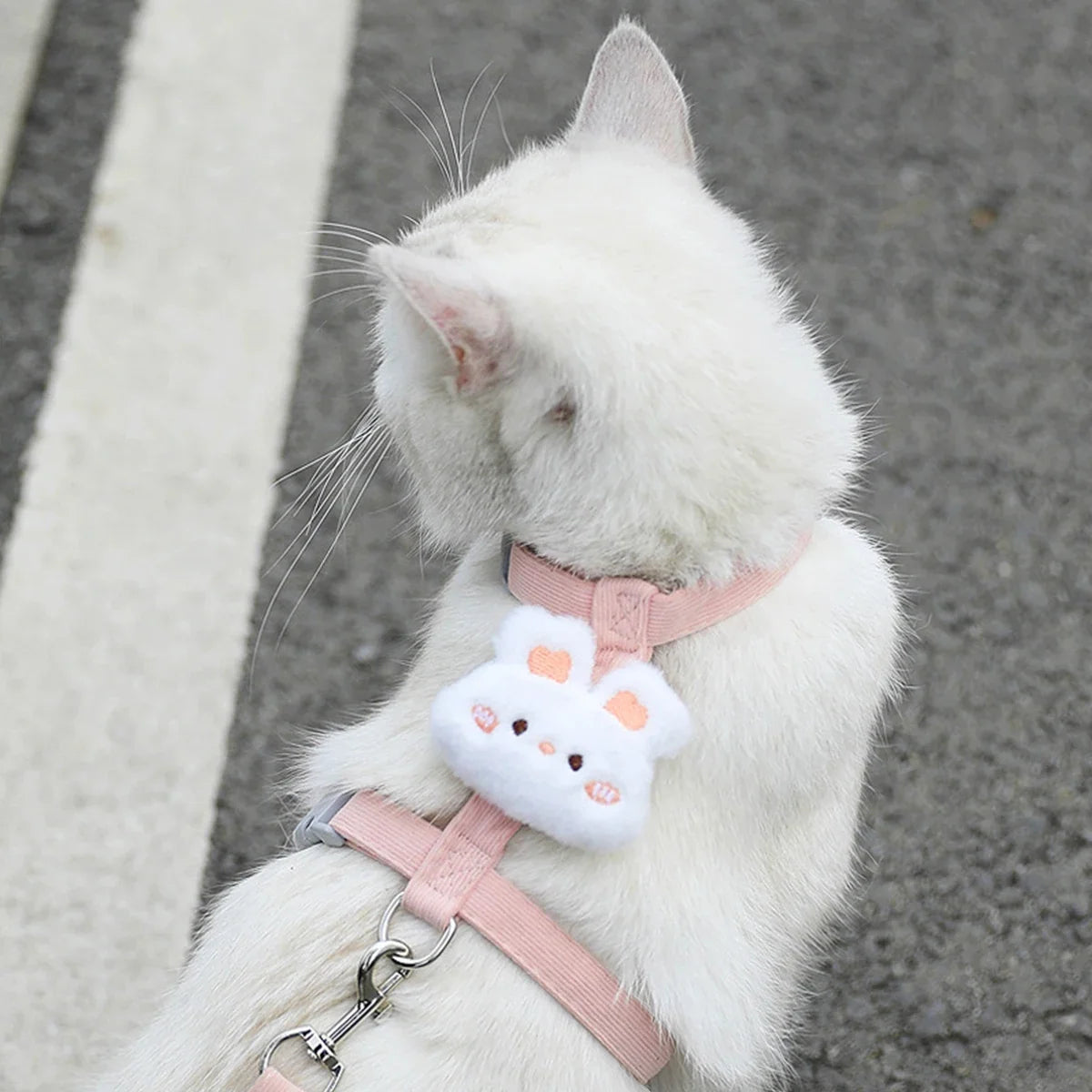 Adjustable Harness & Leash Set for Cats