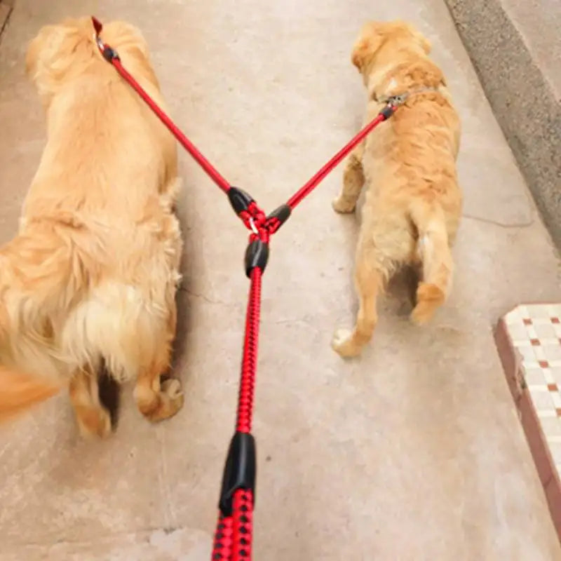 Pet Double Leash with 2 Way Couplers - Rope Elastic