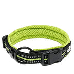 Nylon, Adjustable, Reflective Padded, Dog Collar