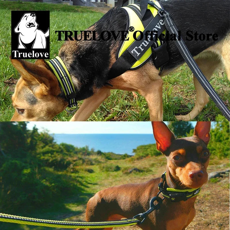 Nylon, Adjustable, Reflective Padded, Dog Collar