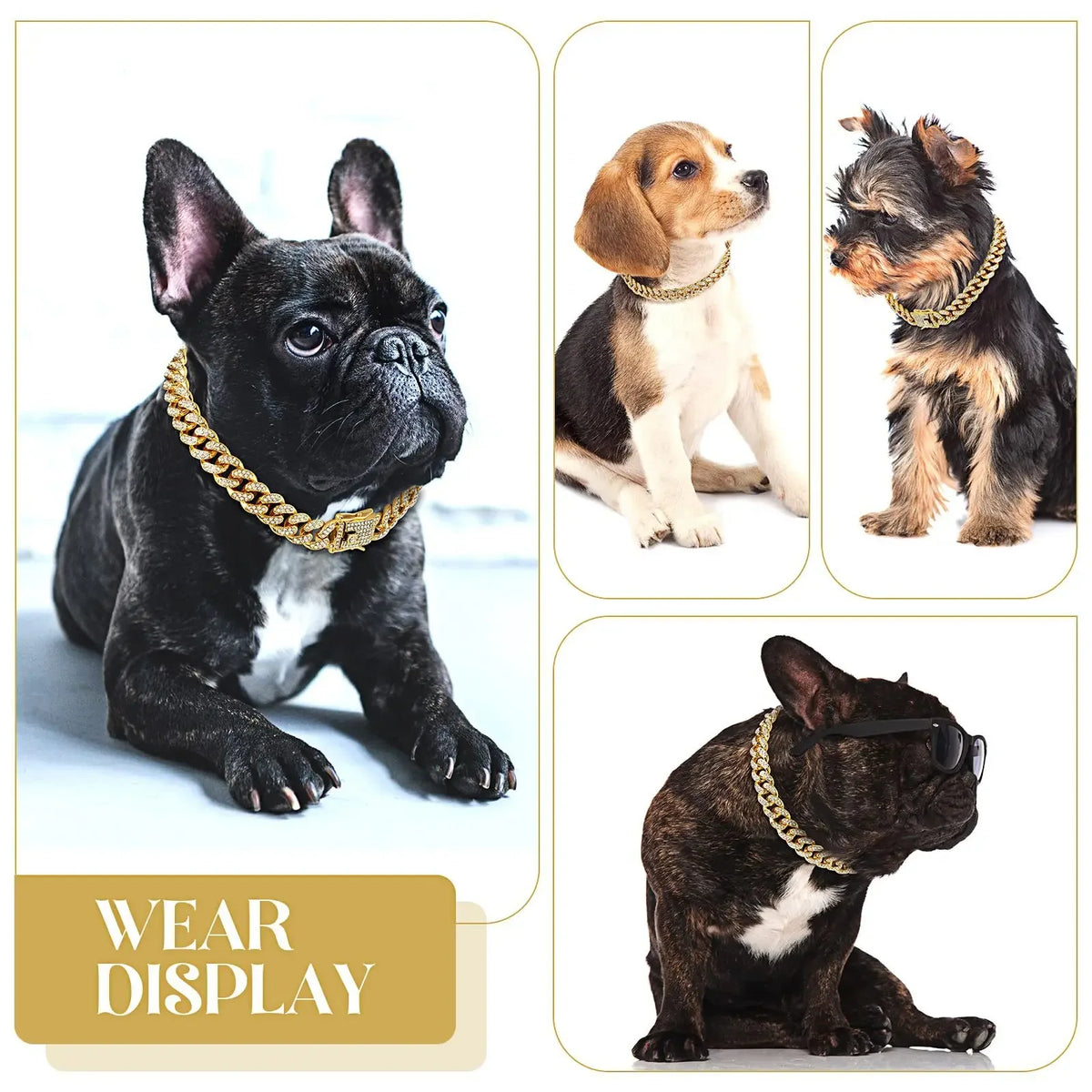 Dog & Cat Diamond Metal Collar with Secure Buckle