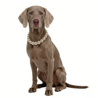 Pearl Collar Necklace for Dogs