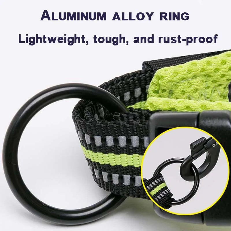Padded, Nylon Dog Collar with Buckle