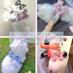 Dog and Cat Harness with Bow and D ring on back