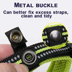 Padded, Nylon Dog Collar with Buckle
