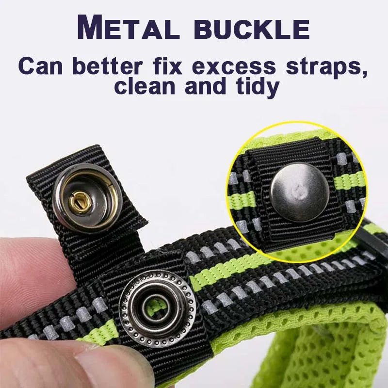 Padded, Nylon Dog Collar with Buckle