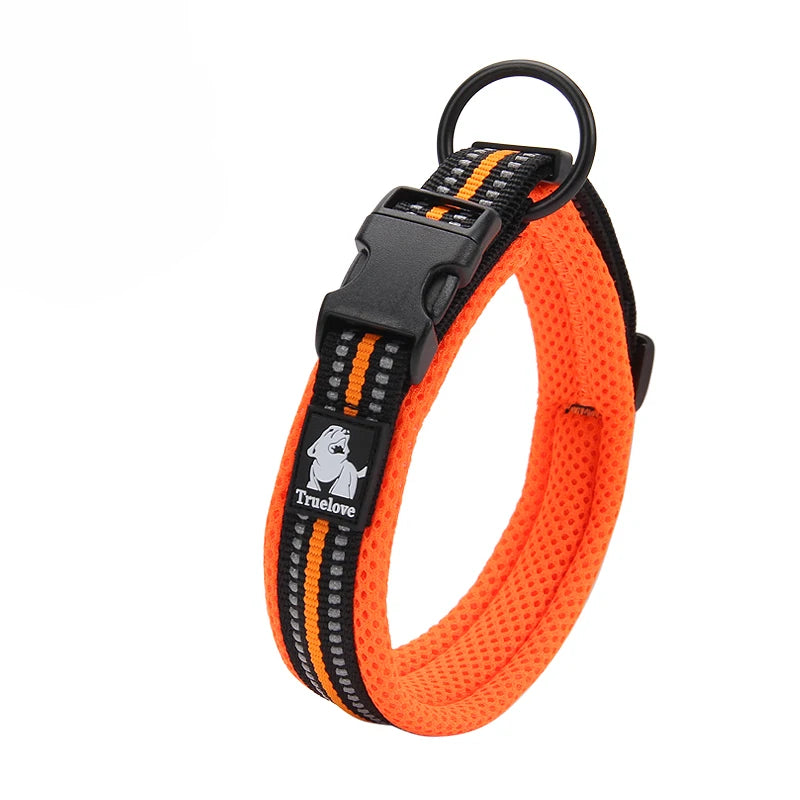 Padded, Nylon Dog Collar with Buckle