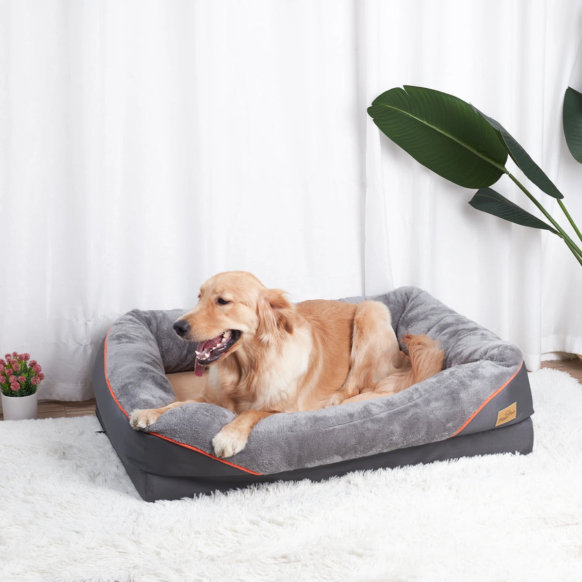 Dog Bed Waterproof, Anti Allergy, Fleece, Removable, Washable Cover