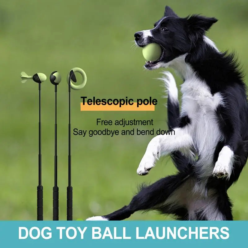 Dog Throwing Pole / Ball Launcher