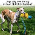 Dog Toy, Rope, Squeaky, Chew Interactive Toy with Elastic Drawstring