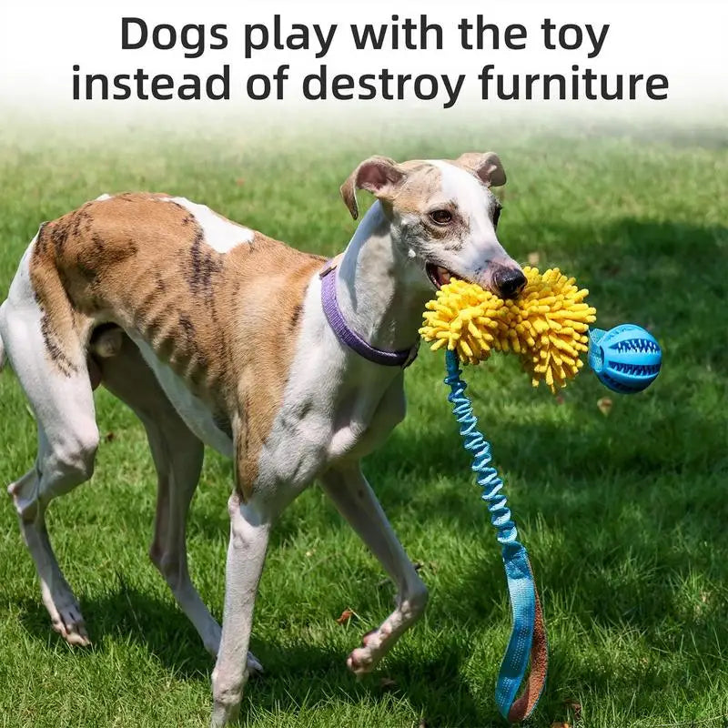 Dog Toy, Rope, Squeaky, Chew Interactive Toy with Elastic Drawstring
